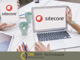 Sitecore CMS Development