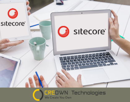 Sitecore CMS Development